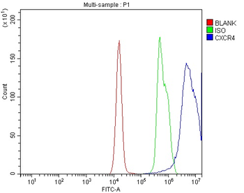 Anti-CXCR4 Antibody