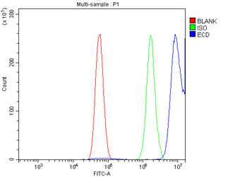 Anti-SGT1/ECD Antibody