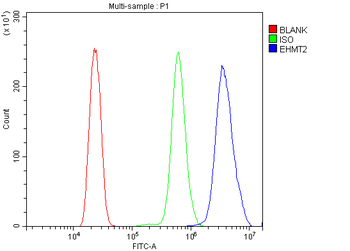 Anti-EHMT2/G9A Antibody