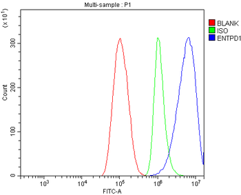 Anti-CD39/ENTPD1 Antibody