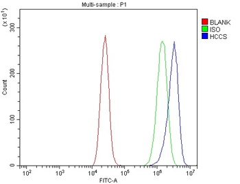 Anti-HCCS Antibody