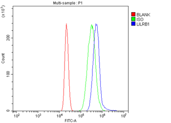 Anti-LILRB1 Antibody