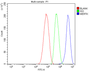 Anti-MERTK Antibody