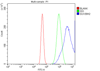 Anti-KMT1B/SUV39H2 Antibody