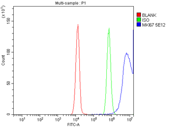 Anti-Ki67 Antibody (monoclonal, 5E12)