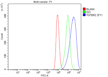 Anti-TGFBR2 Antibody (monoclonal, 2F11)