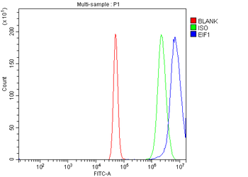Anti-EIF1 Antibody