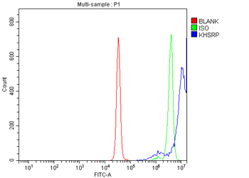 Anti-KHSRP Antibody