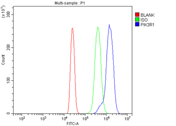 Anti-PI 3 Kinase p85 alpha/PIK3R1 Antibody