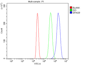 Anti-JLP/SPAG9 Antibody
