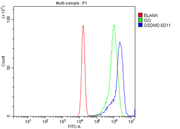 Anti-GSDMD Antibody (monoclonal, 6D11)