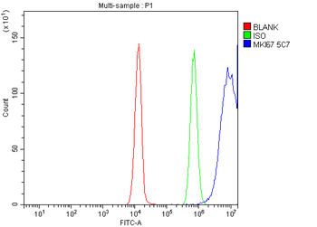 Anti-Ki67 Antibody (monoclonal, 5C7)