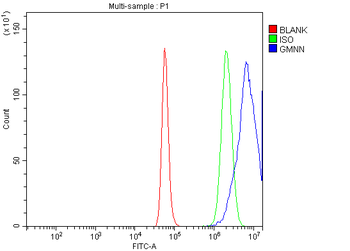 Anti-Geminin/GMNN Antibody
