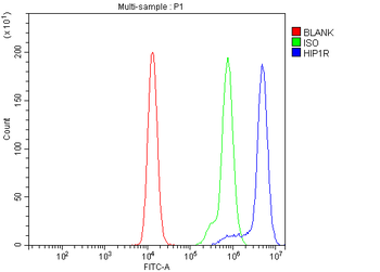 Anti-HIP1R Antibody