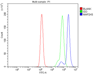 Anti-ASK1/MAP3K5 Antibody
