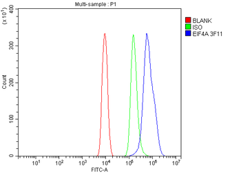 Anti-EIF4A1 Antibody (monoclonal, 3F11)