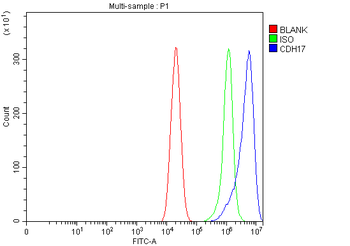 Anti-LI Cadherin/CDH17 Antibody