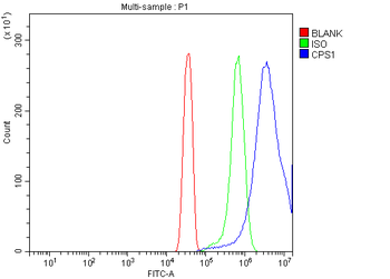 Anti-CPS1 Antibody
