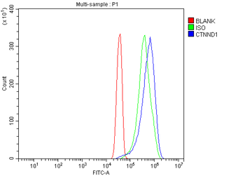 Anti-delta 1 Catenin/CAS/CTNND1 Antibody