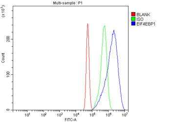 Anti-EIF4EBP1 Antibody
