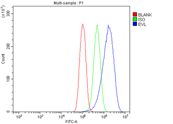 Anti-EVL Antibody