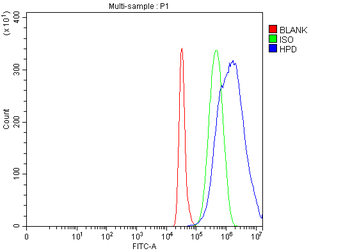 Anti-HPD Antibody