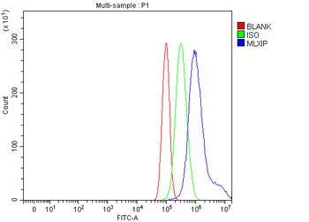 Anti-MLX-interacting protein/MLXIP Antibody