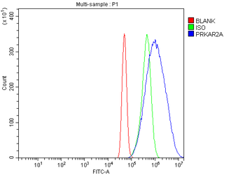 Anti-PKA R2/PKR2/PRKAR2A Antibody