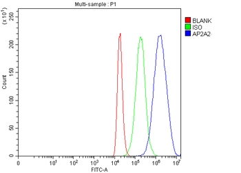 Anti-AP2A2 Antibody