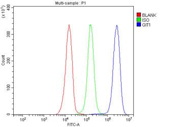 Anti-GIT1 Antibody
