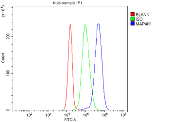 Anti-MAP4K1/HPK1 Antibody