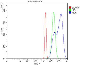Anti-MCC Antibody