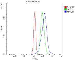 Anti-MAT2B/TGR Antibody
