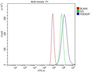 Anti-PDE4DIP Antibody