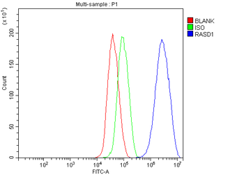 Anti-Dexras1/RASD1 Antibody