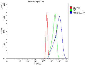 Anti-Cytokeratin 5 Antibody (monoclonal, 5D3F7)