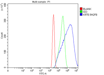 Anti-Cytokeratin 5 Antibody (monoclonal, 9H2F8)