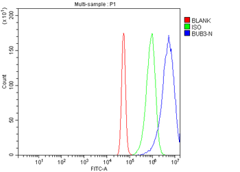 Anti-BUB3 Antibody