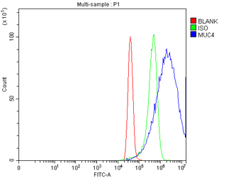 Anti-MUC4 Antibody