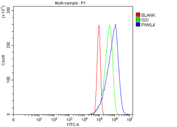 Anti-PIWIL4/PIWI Antibody