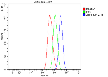 Anti-ALDH1A1 Antibody (monoclonal, 4C3)