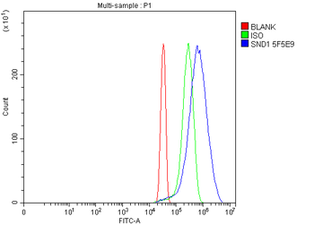 Anti-SND1 Antibody (monoclonal, 5F5E9)