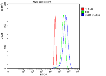 Anti-SND1 Antibody (monoclonal, 6G3B4)