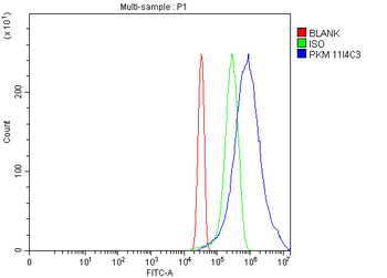 Anti-PKM2 Antibody (monoclonal, 11I4C3)