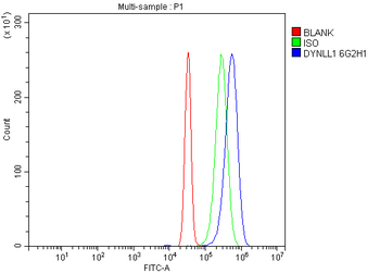 Anti-DYNLL1/PIN Antibody (monoclonal, 6G2H1)