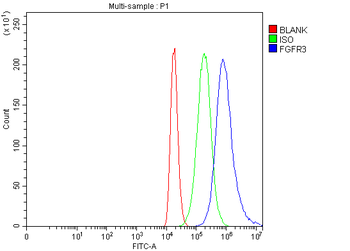 Anti-FGFR3 Antibody