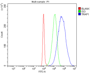 Anti-TRAP1 Antibody