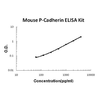 Mouse P-Cadherin-3 Cdh3 ELISA Kit