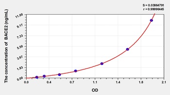 Rat BACE2(Beta Secretase 2) ELISA Kit