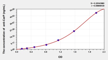 Human anti-CarP(anti-carbamylated protein) ELISA Kit